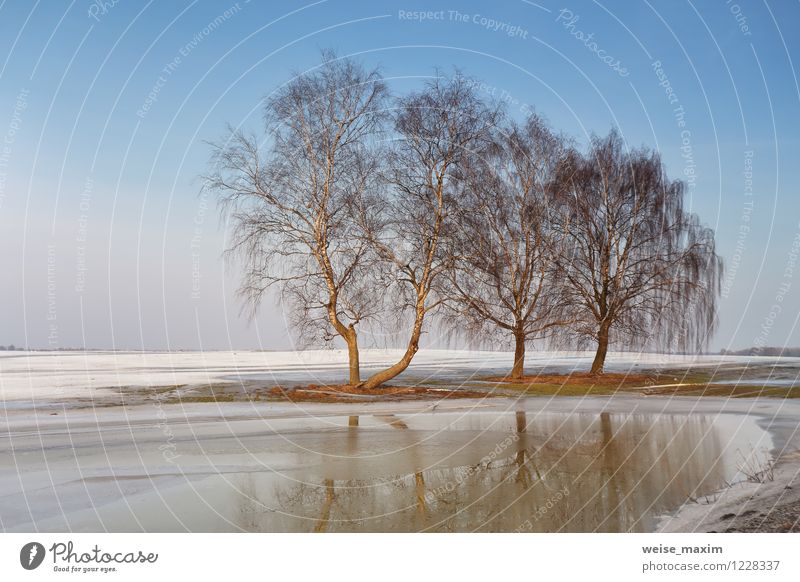 Vorfrühling bei Minsk Umwelt Natur Landschaft Urelemente Erde Sand Luft Wasser Himmel Wolkenloser Himmel Sonnenlicht Frühling Klima Wetter Schönes Wetter Eis