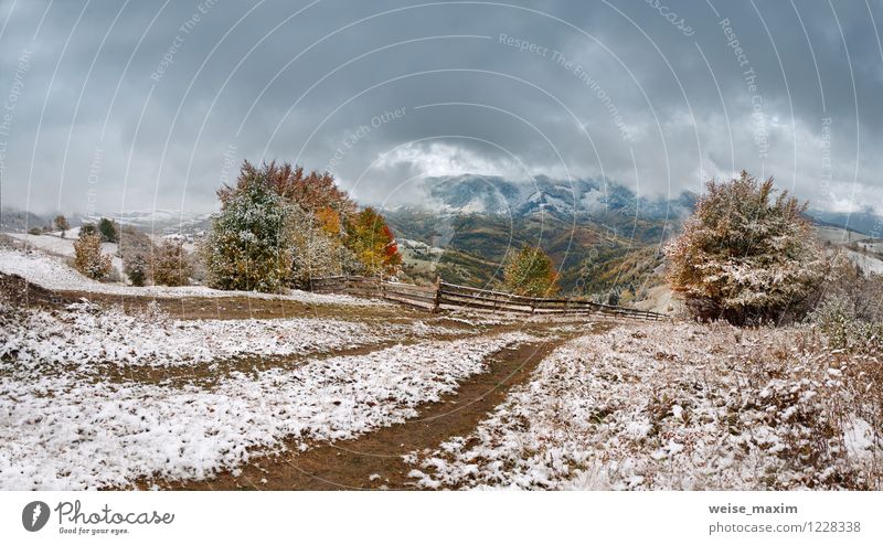 Oktober Schnee Umwelt Natur Landschaft Pflanze Luft Wassertropfen Himmel Wolken Gewitterwolken Herbst Klima Unwetter Wind Sturm Eis Frost Schneefall Baum Gras