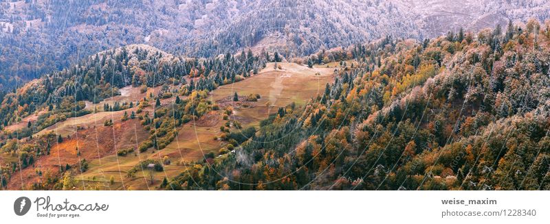 Der erste Schnee legte sich nieder Umwelt Natur Landschaft Pflanze Luft Wasser Wassertropfen Herbst Klima Wetter Unwetter Eis Frost Baum Blatt Nutzpflanze Wiese