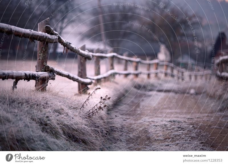 Karpaten im Detail Natur Landschaft Erde Sand Luft Wasser Herbst Klima Wetter Eis Frost Pflanze Baum Gras Sträucher Blatt Garten Wiese Feld Hügel