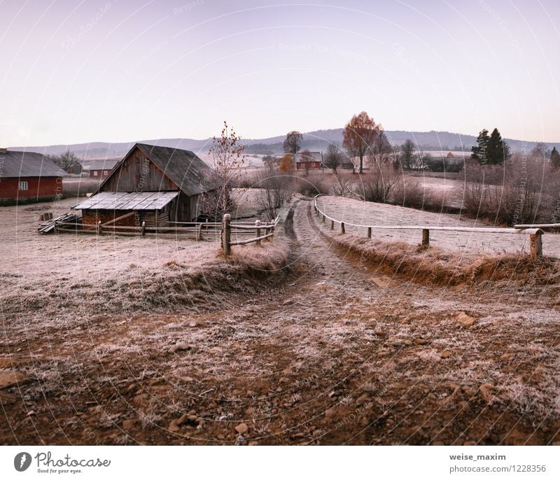 November Morgen im Karpaten-Dorf Landschaft Himmel Herbst Eis Frost Pflanze Baum Garten Wiese Hügel Berge u. Gebirge Haus Park Mauer Wand Fassade Dach