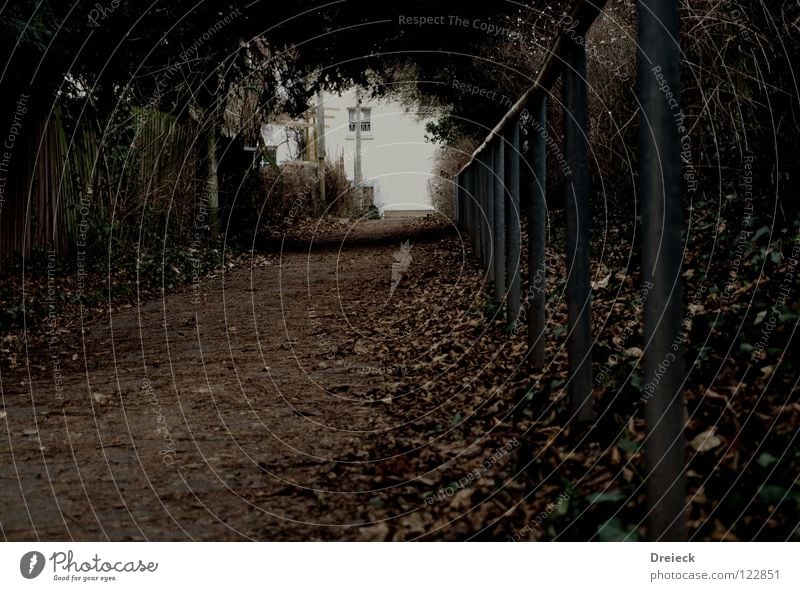 Geh du schonmal voraus...Schatz! Blatt dunkel Licht ruhig Tunnel Tunnelblick gehen Angst Panik Garten Park Wege & Pfade Geländer Loch Perspektive Ende Beginn