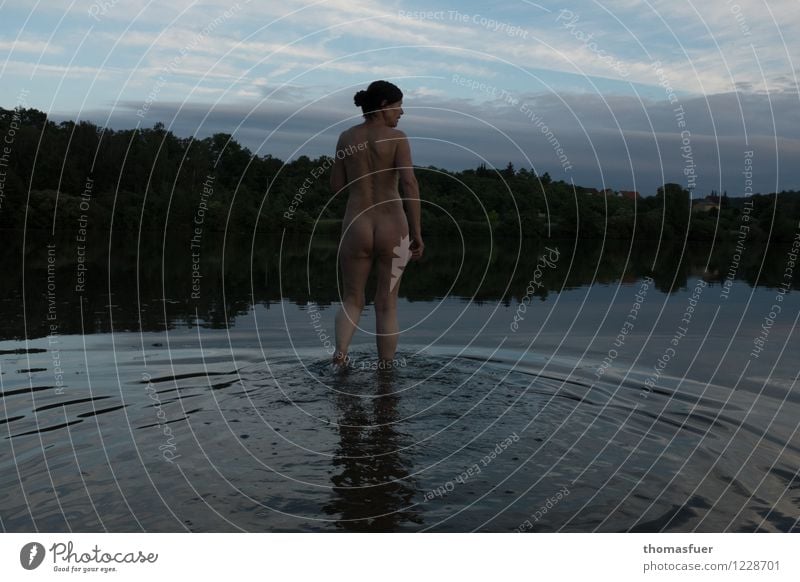 Abendbad Schwimmen & Baden Ferien & Urlaub & Reisen Sommer Sommerurlaub Mensch feminin Frau Erwachsene 1 60 und älter Senior Wolken Horizont Schönes Wetter Baum