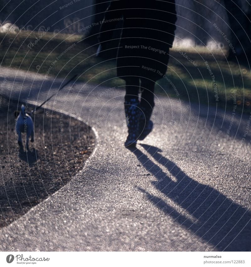 Gassi gehen Hund Ausritt Stiefel Gegenlicht Hundemarke Tier Bösewicht Asphalt Fahrradweg Arbeitsweg Joggen Luft frisch vorwärts Potsdam Spielen Freude