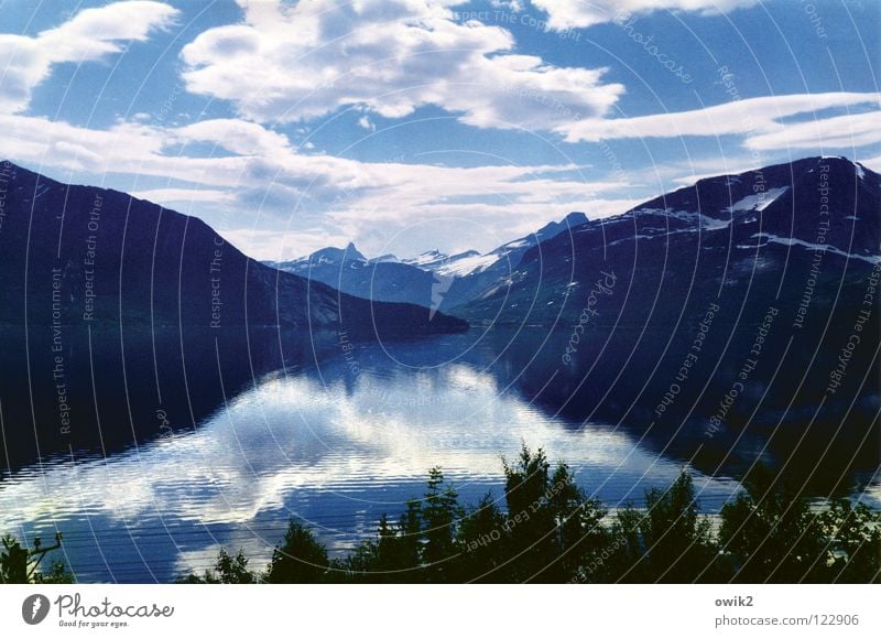 Fjordland ruhig Ferne Sommer Berge u. Gebirge Umwelt Natur Landschaft Pflanze Wasser Himmel Wolken Horizont Schönes Wetter Baum Küste glänzend Idylle Pause