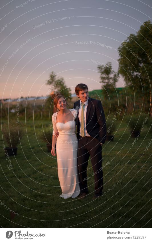 Gute Aussichten Lifestyle Hochzeit Paar Partner Natur Sonnenaufgang Sonnenuntergang Baum Sträucher Park Mode Kleid Anzug Liebe leuchten natürlich grün schwarz