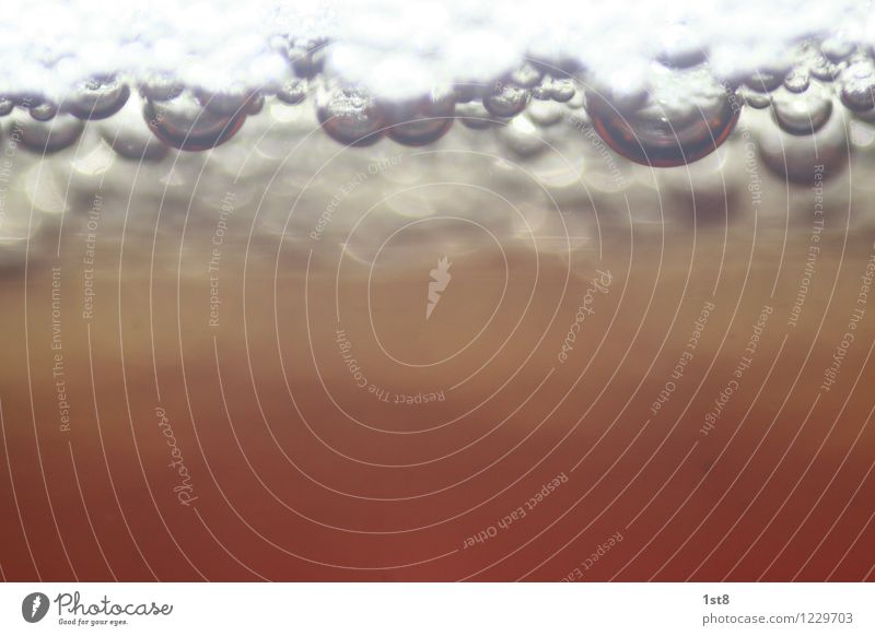 RED ALE Bier Glas Wasser außergewöhnlich Duft Flüssigkeit Unendlichkeit schön Wärme braun rot weiß Durst Blase Luft Luftblase Reflexion & Spiegelung Farbfoto