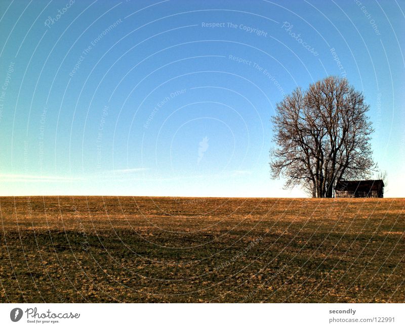 kras gondrast Gras Baum Landwirtschaft Hügel Wolken braun Himmel Hütte Erde alt blau