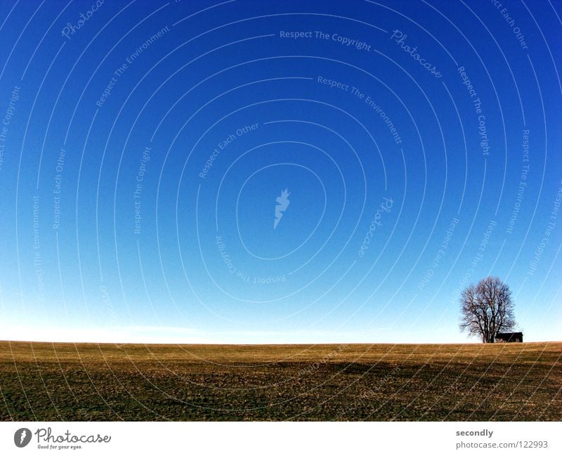 kras gondrast 2 Wiese Baum Wolken Landwirtschaft Gras braun Himmel Hütte leer Kontrast blau