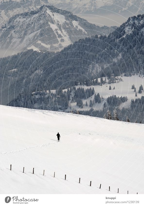 into the wild Umwelt Natur Landschaft Urelemente Luft Wolken Horizont Sonne Sonnenlicht Winter Klima Klimawandel Wetter Schönes Wetter Nebel Eis Frost Schnee