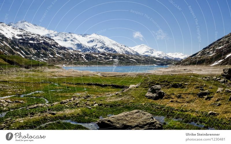 Passo dello Spluga Umwelt Natur Landschaft Pflanze Erde Luft Wasser Himmel Frühling Schönes Wetter Gras Moos Felsen Alpen Berge u. Gebirge Splügenpass