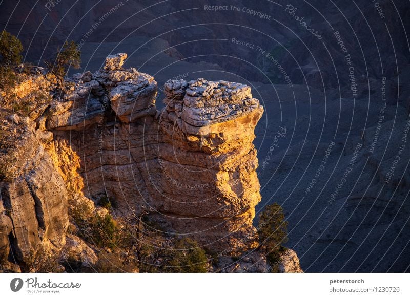 Am Abgrund Landschaft Felsen Schlucht Grand Canyon außergewöhnlich fantastisch Stimmung einzigartig erleben Farbe Perspektive Abenteuer dramatisch Farbfoto