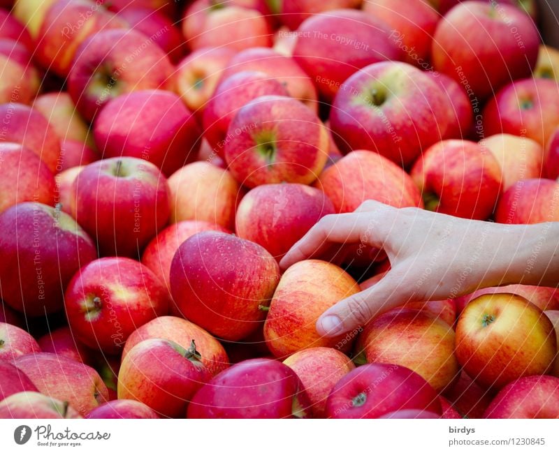 Leichte Kost Lebensmittel Frucht Apfel Ernährung Bioprodukte Vegetarische Ernährung kaufen Gesundheit Gesunde Ernährung Sommer feminin Hand wählen Duft