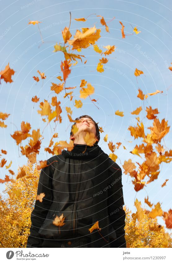 Blätterregen Freude Glück Leben Zufriedenheit Mensch Mann Erwachsene Natur Herbst Schönes Wetter Blatt fliegen genießen werfen frei Fröhlichkeit frisch gelb