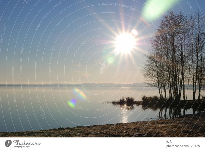 Wintertag Steinhuder Meer See Sonne Strand Wasser Mardorf Küste Blauer Himmel Reflexion & Spiegelung