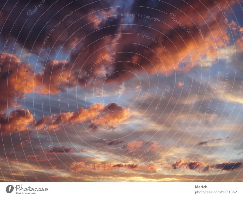 Wolkenspiel am Abend Umwelt Natur Luft Himmel nur Himmel Sonnenaufgang Sonnenuntergang Sonnenlicht Wetter Schönes Wetter Unendlichkeit blau braun mehrfarbig