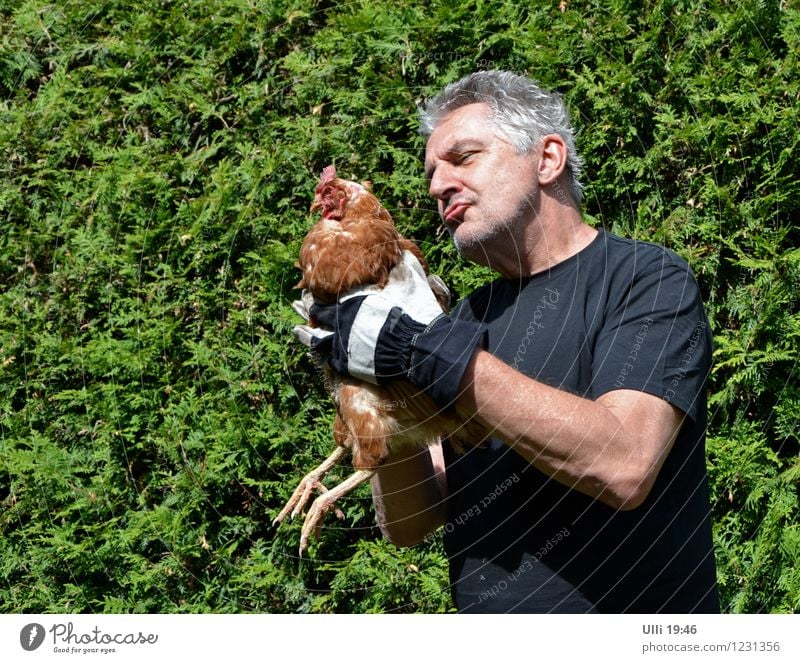 Ausreißer geschnappt (2) Hähnchen Asiatische Küche Garten Hühnerhof Fitness Sport-Training Tier Nutztier Huhn 1 Arbeitshandschuh Arbeitshandschuhe fangen werfen