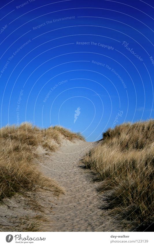 Das Ende der Welt? Strand Meer Gras Umweltschutz Stranddüne Ferien & Urlaub & Reisen Wohlgefühl Mittagssonne Winter Küste Erde Sand Himmel Insel Wege & Pfade