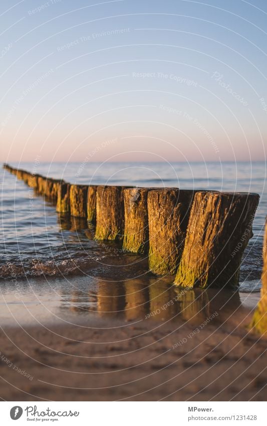 buhne frei Schönes Wetter Wellen Küste Bucht Ostsee blau braun Meer Strand Horizont Holz Buhne Sonnenuntergang Reflexion & Spiegelung Farbfoto Außenaufnahme