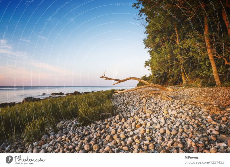 #rügen Umwelt Himmel Wolken Sonnenaufgang Sonnenuntergang Sonnenlicht Sommer Schönes Wetter Wellen Küste Strand Ostsee Meer Sumpf blau orange weiß Stimmung