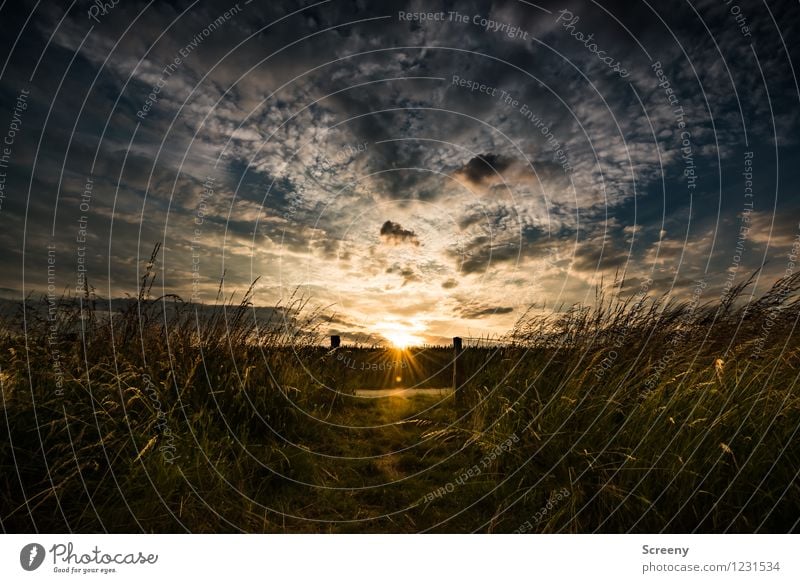 Der letzte Sonnenstrahl... Ferien & Urlaub & Reisen wandern Natur Landschaft Pflanze Himmel Wolken Sonnenaufgang Sonnenuntergang Sonnenlicht Frühling Sommer