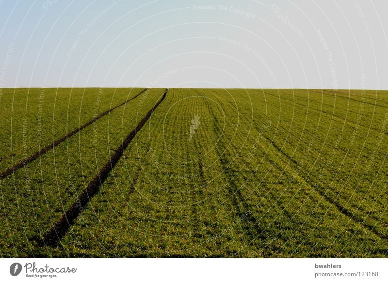 Feld - Spur grün Horizont Furche Aussaat Erde Sand Amerika Himmel blau Ferne Spuren Wege & Pfade Wintergetreide