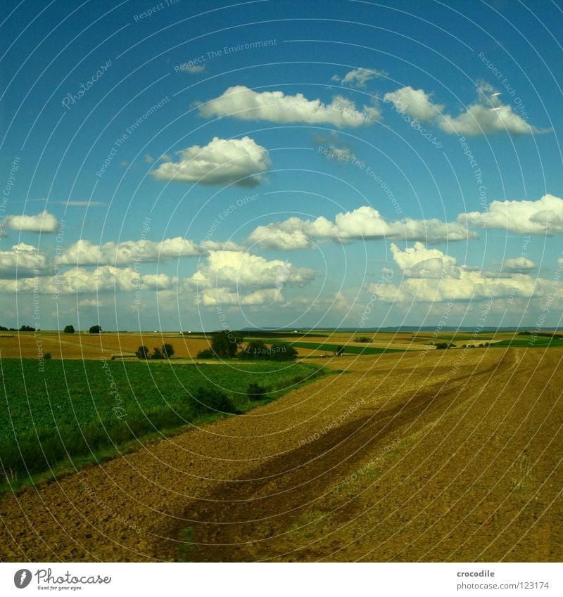 schäfchenwolken über der mitte deutschlands Feld Landwirtschaft Wiese Sommer Wolken Baum Sträucher Kulturlandschaft Produktion Blauer Himmel Ackerbau Ernährung