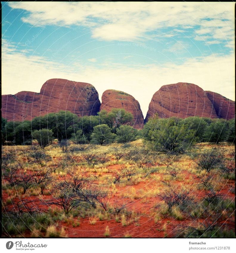 australia Ferien & Urlaub & Reisen Tourismus Ferne Sommer Berge u. Gebirge Australien Umwelt Natur Landschaft Urelemente Erde Himmel Wolken Schönes Wetter Baum