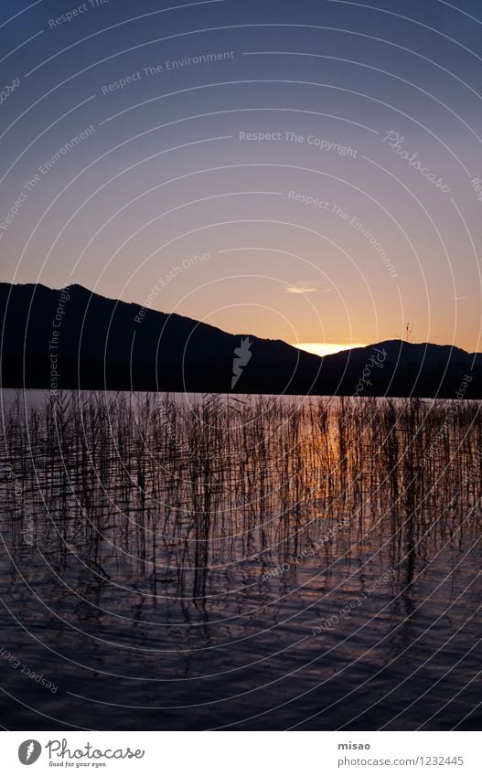 Das Haus am See Wohlgefühl Sinnesorgane Erholung ruhig Meditation Schwimmen & Baden Natur Feuer Luft Wasser Wolkenloser Himmel Horizont Sonne Sonnenaufgang