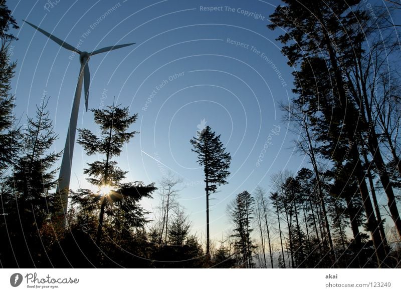 Windkraft am Roßkopf 7 Himmel Nadelbaum Wald himmelblau Geometrie Laubbaum Perspektive Nadelwald Waldwiese Paradies Waldlichtung Windkraftanlage Elektrizität