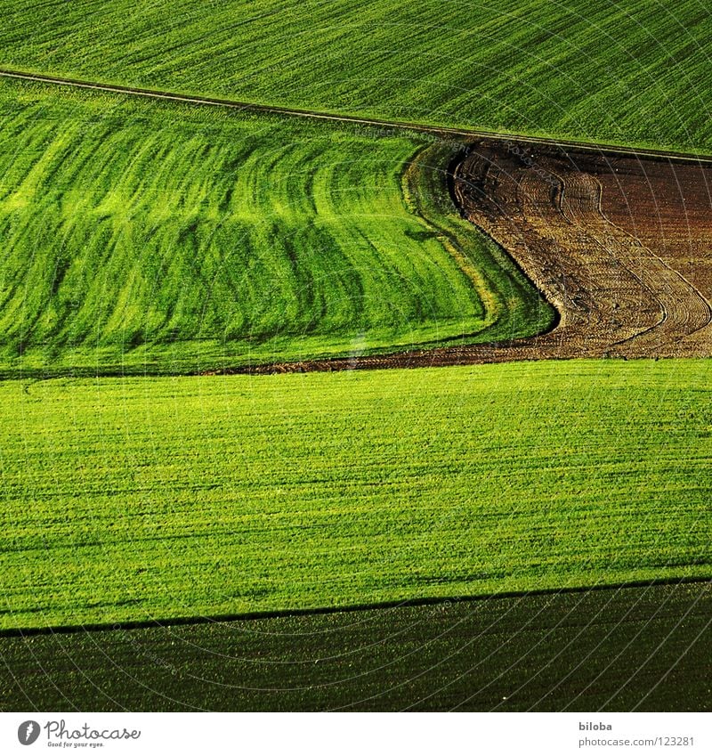 Art of farming II Muster Kunst pflügen gepflügt sprießen Jungpflanze Gegenlicht Schatten Herbst Lebensmittel Landwirtschaft Aussaat aufgehen grün frisch Feld