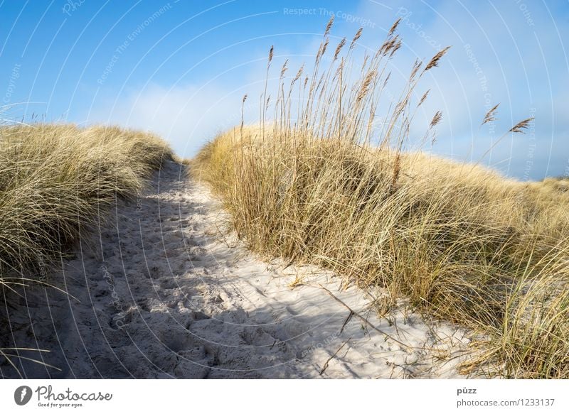 Sehnsucht Ferien & Urlaub & Reisen Tourismus Ausflug Freiheit Sommer Sommerurlaub Sonne Strand Meer Umwelt Natur Landschaft Urelemente Sand Himmel