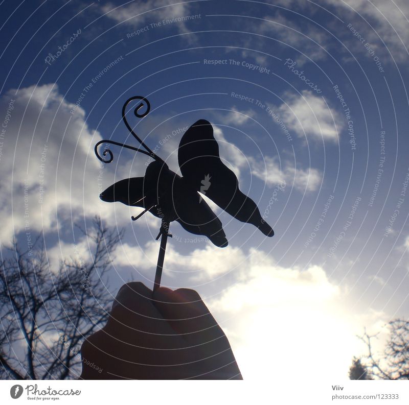 Aus dem Bauch heraus... Wolken Schmetterling Hand Winter kalt Fühler süß Hoffnung schwarz Spielen Himmel Sonne Flügel fliegen fly blau Schatten Freiheit Insekte