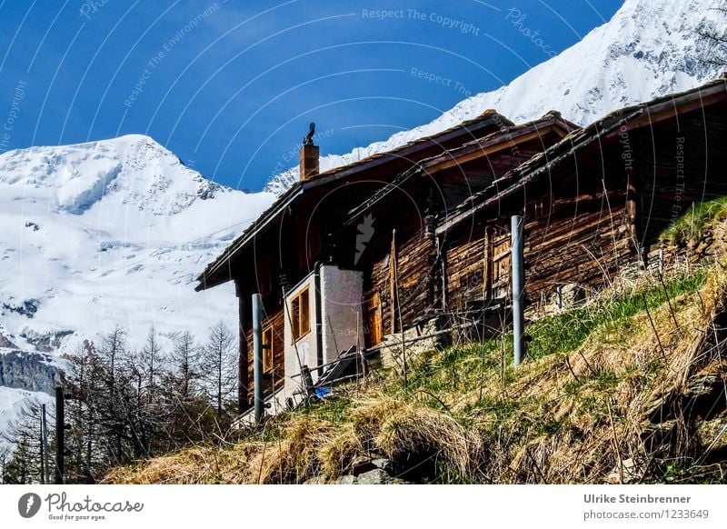 Walserhäuser Saas Fee Ferien & Urlaub & Reisen Tourismus Ausflug Ferne Sommer Sommerurlaub Berge u. Gebirge Umwelt Natur Landschaft Wolkenloser Himmel