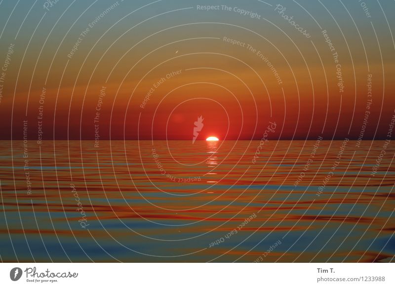 Sonnenuntergang Wasser Himmel Wolkenloser Himmel Stern Sommer Schönes Wetter Ostsee Meer Romantik Farbfoto Außenaufnahme Menschenleer Abend Dämmerung