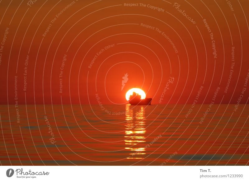 Baltic Sea Umwelt Natur Wasser Himmel Horizont Sonne Sonnenaufgang Sonnenuntergang Sommer Ostsee Meer Schifffahrt Containerschiff Wasserfahrzeug träumen