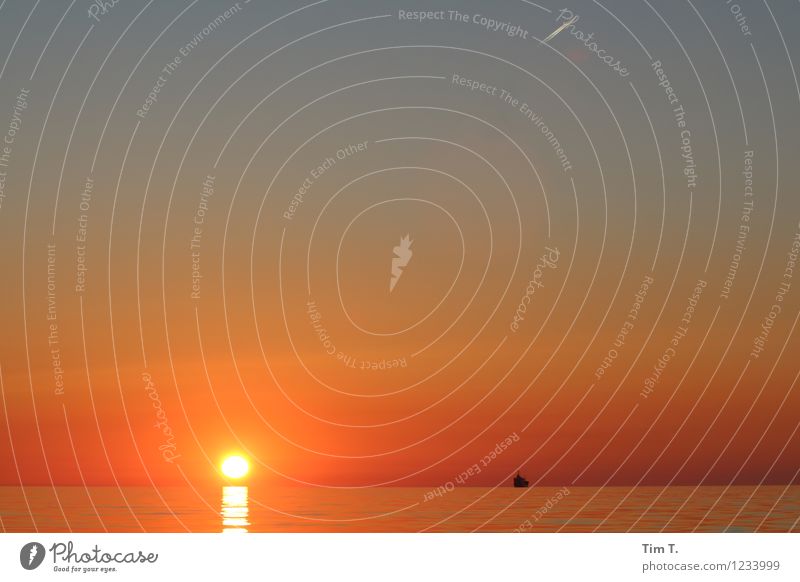 Ostsee Wasser Himmel Wolkenloser Himmel Horizont Sonne Sonnenaufgang Sonnenuntergang Sonnenlicht Sommer Wetter Schönes Wetter Meer Verkehrsmittel Verkehrswege