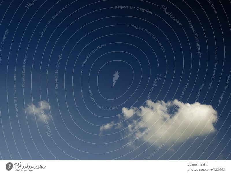 Windeseile himmlisch Luft luftig Strukturen & Formen Wolken Licht Watte weich unterwegs Fernweh Schweben Geschwindigkeit Luftikus Himmelsstürmer schön leicht