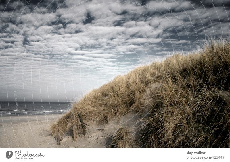 Coast to Coast Strand Meer See Küste Gras Wolken Wattenmeer Zugang Wolkendecke dunkel Licht Wellen Brandung Erde Sand Stranddüne uder Himmel Natur Wege & Pfade