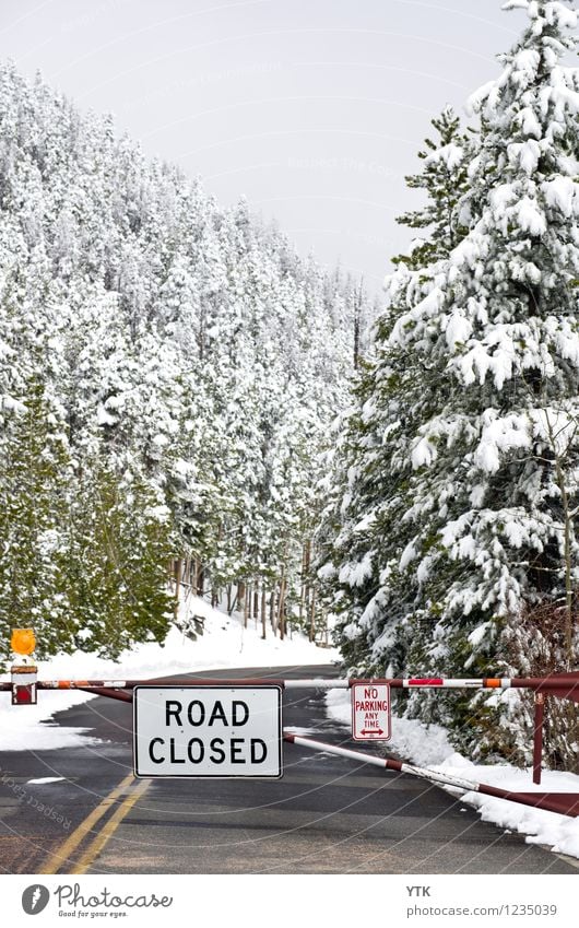 Better turn around Natur Landschaft Luft Wasser Himmel Wolken Winter Klima schlechtes Wetter Eis Frost Schnee Pflanze Baum Wald Berge u. Gebirge Gipfel Verkehr