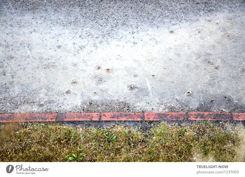 Regen Umwelt Natur Urelemente Erde Sand Wasser Wassertropfen Sommer Wetter schlechtes Wetter Gras Garten Wege & Pfade Backstein kalt nass trist unten viele