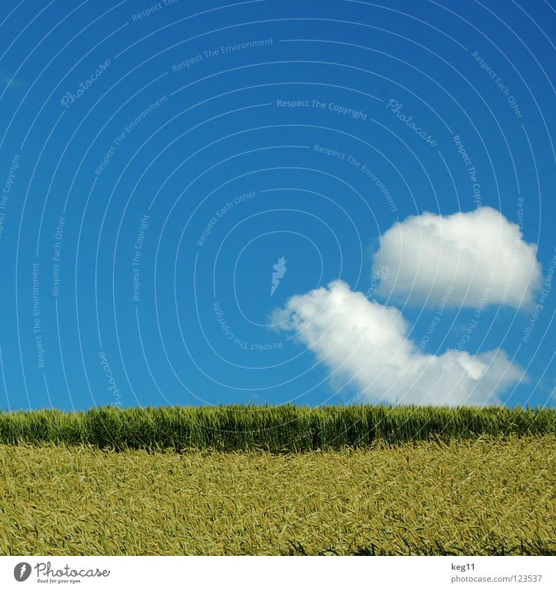 Irgendwann im Sommer ... Winter Wolken Feld Gerste Weizen Hafer Wiese weiß Bayern Horizont Pause Himmel Korn blau Natur Deutschland Fantasygeschichte