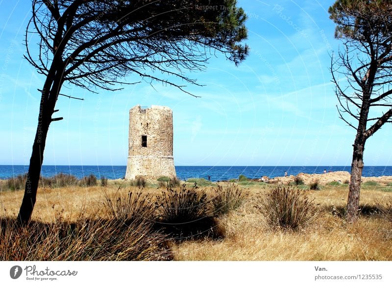 Wenn der Urlaub doch nur ewig wär' Ferien & Urlaub & Reisen Sommerurlaub Natur Landschaft Himmel Baum Gras Strand Meer Turm schön Wärme blau Farbfoto mehrfarbig