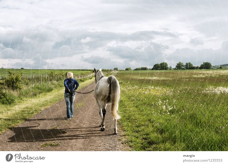 Mädchen mit Schimmel Reiten Mensch feminin Junge Frau Jugendliche Erwachsene 1 Himmel Wolken Gewitterwolken Schönes Wetter Wiese Feld Tier Haustier Pferd