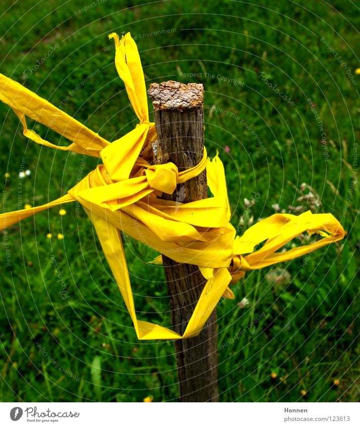 Bandsalat Pfosten Stock Barriere Wiese Gras gelb grün braun Schleife Genauigkeit unordentlich Stabilität durcheinander Schnur Begrenzungsband Weide Knoten