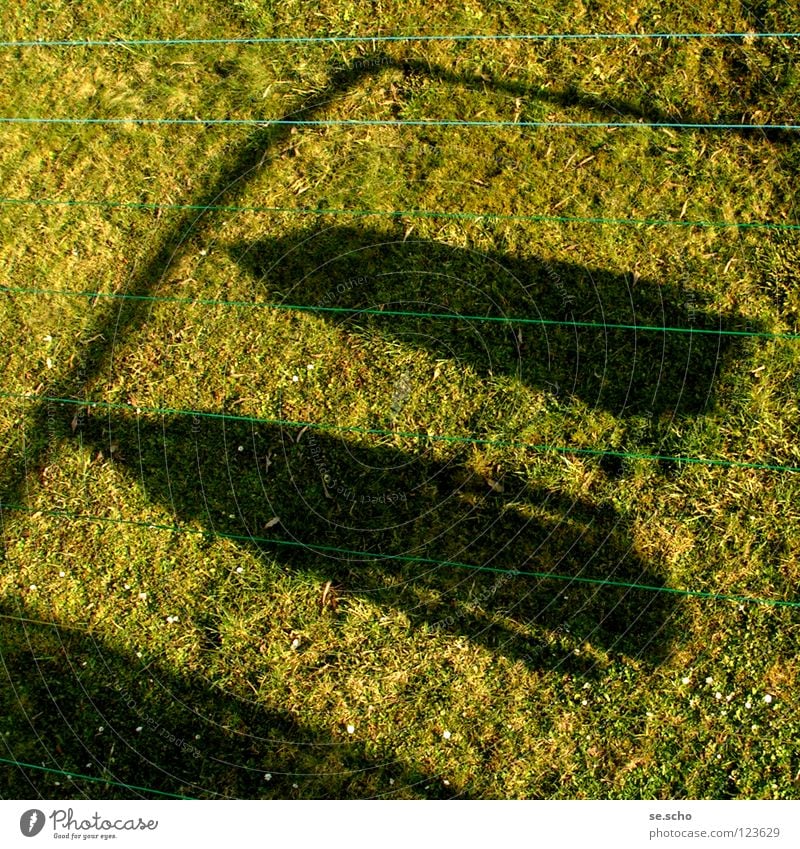 "aufgehängt" Wiese grün aufhängen Wäsche Gras Jacke Haushalt Seil Schatten Sonne Blick aus dem Fenster Fensterblick