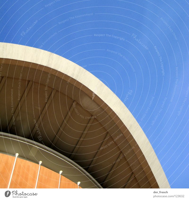 auster Dach Beton Bildende Kunst Tiergarten Detailaufnahme Kultur Berlin haus der kulturen der welt Himmel blau Schwangere Auster Bildausschnitt Anschnitt