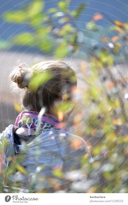 Seele und Beine baumeln lassen feminin Frau Erwachsene 1 Mensch Natur Pflanze Herbst Schönes Wetter Sträucher Feld Schal Tuch blond Zopf sitzen hell Gefühle