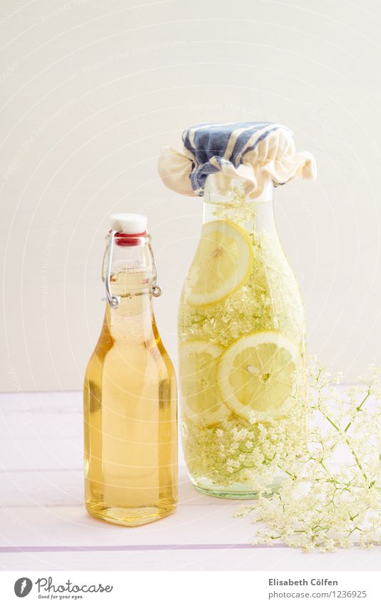 Angesetzter Holunderblütensirup Lebensmittel Getränk trinken Erfrischungsgetränk Sirup Holunderbusch Extrakt Flasche gelb konserviert angesetzt Zitrone