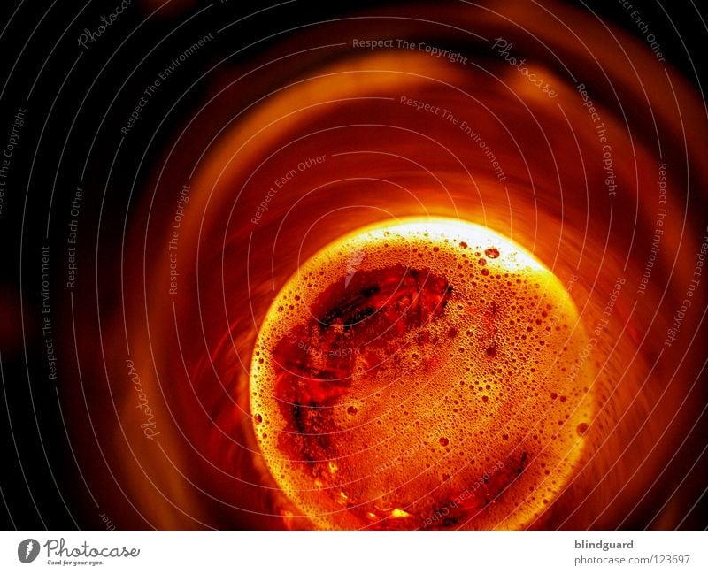 Was wollen wir trinken ... Bier Ernährung Lebensmittel Getränk Licht Gastronomie Bar Club Veranstaltung verschlafen Restaurant rund Flaschenhals Schaum
